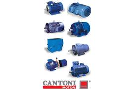 Cantoni Motor 2SG 180L-12 7,5kW B3 (V6) 400/690V-50Hz, IP56