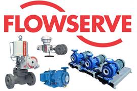 Flowserve P/N : HG -1721-3R  AN