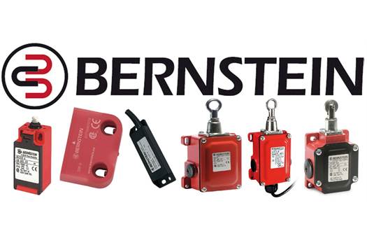Bernstein C2-U1Z K Plastic Limit Switch