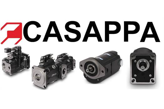 Casappa S.p.A. (65107012 ) MVP 60.84D-06S8-LMF/MC-V-RN-G-AS5/04 (255/2400)/PLP20.16D0-04S5-LGF/GD-V (FTZ) Pump