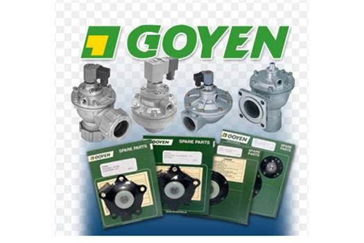 Goyen Model: RCA 3D2 valve, 110-220V, 50-