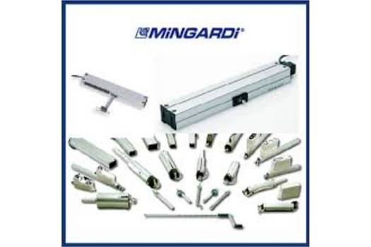 Mingardi 1E96380920A50 24V 29W IP 55  Torza 450 W Veloc 12mm/5  replaced by NTS1-0400-024-000  Spindelantrieb 